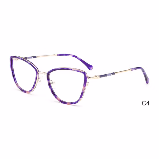 Neuestes Design für Betonpumpenwagen, verschiedene Zubehör-Brillen