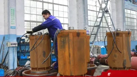 Wq Tauchpumpen mit tragbarem Typ