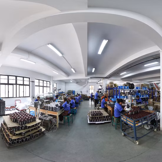 Werto Qb60 Eisenguss-Messing-Laufrad, elektrische periphere Vortex-Micro-Auto-Oberflächen-Gradenpumpe für die Landwirtschaft, Bewässerung, Wasserpumpe