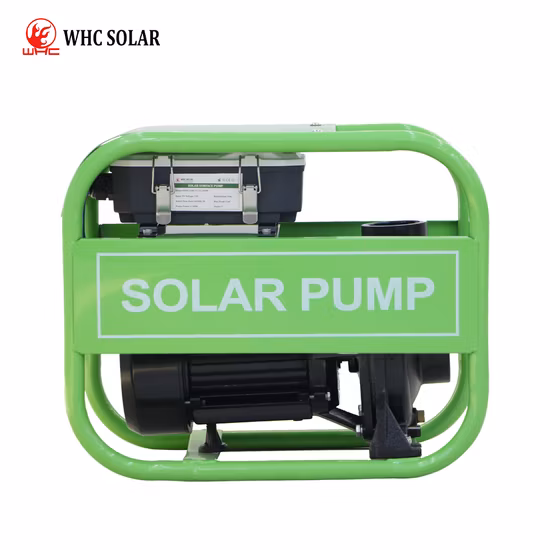 Hersteller Edelstahl Abwasser Tiefbrunnen Bewässerung Garten Hohe Zentrifugalselbst